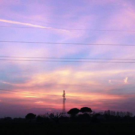 Meditur Hotel Pisa Migliarino Pisano Luaran gambar