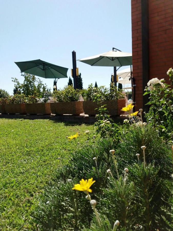 Meditur Hotel Pisa Migliarino Pisano Luaran gambar